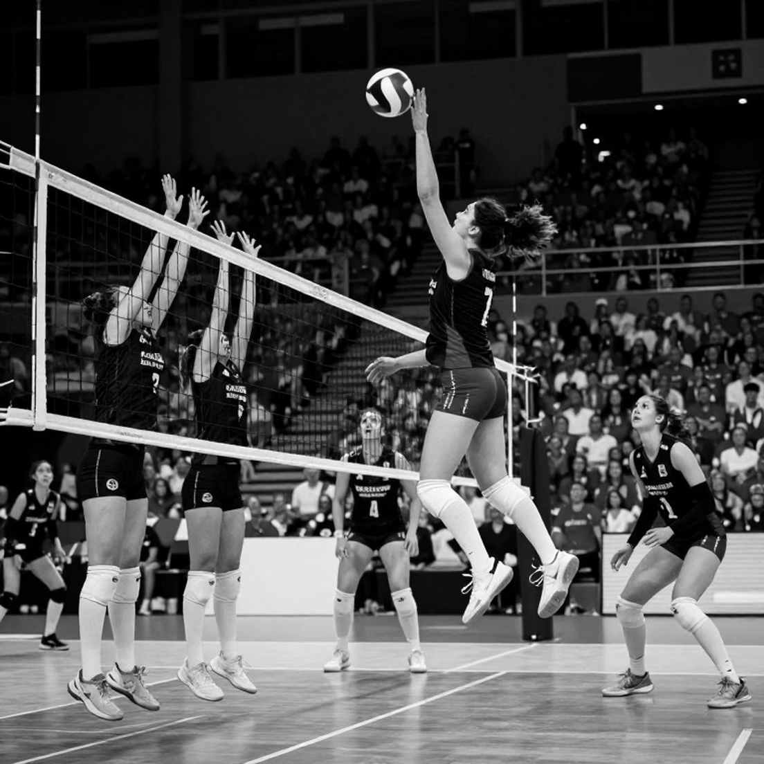 Đêm Chicago và những góc khuất của nhà vô địch: AVP League 2026 dưới lăng kính số phận Đêm Chicago và những góc khuất của nhà vô địch: AVP League 2026 dưới lăng kính số phận